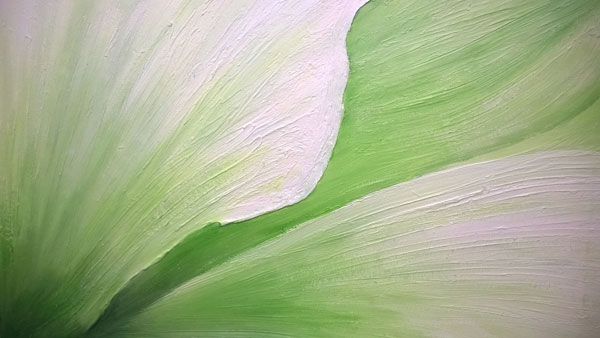 PLANTS AND FLOWERS